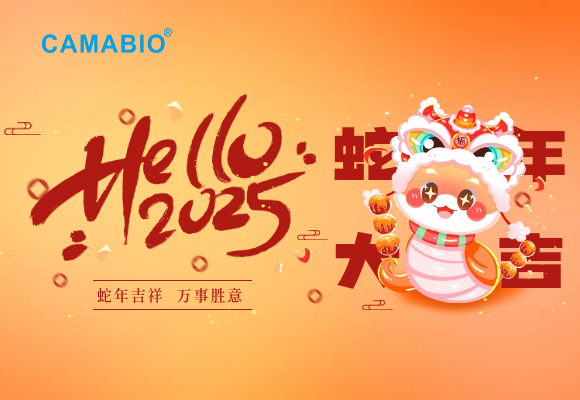 2025蛇年新年春節(jié)聯(lián)歡晚會(huì)祝福展板.png